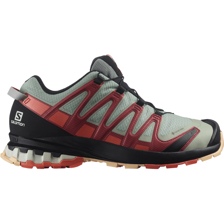 Women's Trail Running Shoes Xa Pro 3D V8 Gore-Tex Wrought Iron-Burnt Sienna-Red