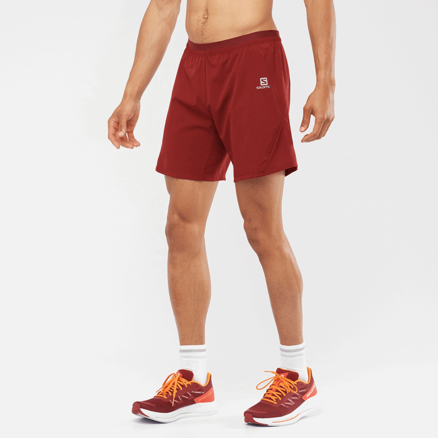 Men's Shorts Cross 7'' Cabernet